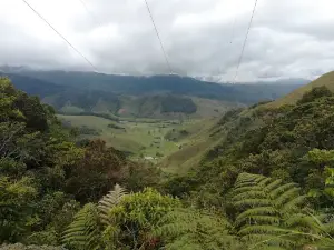 Alto de Musinga