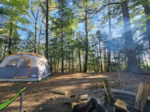 Ossineke State Forest Campground