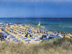 Lido Morelli