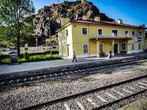Pasinler Kalesi