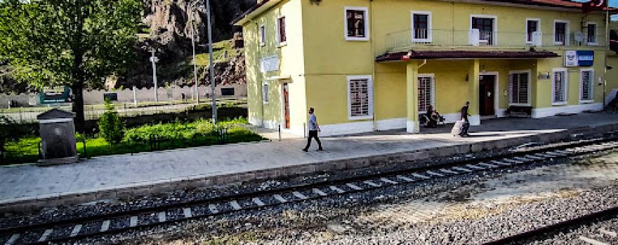 Pasinler Kalesi