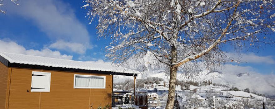 Camping des Chataigniers