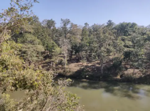 Canopy Walk Mukki MP Tourism