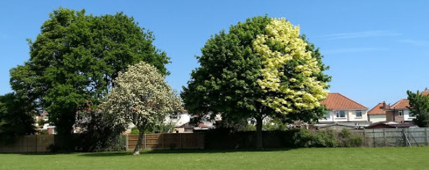 Sprowston Recreation Ground