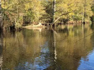 Ed Allen's Campgrounds