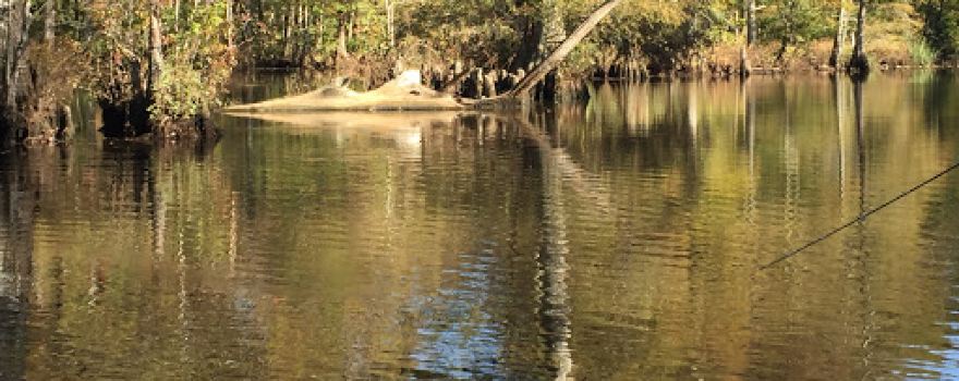 Ed Allen's Campgrounds