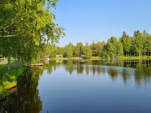 Svanen Camping