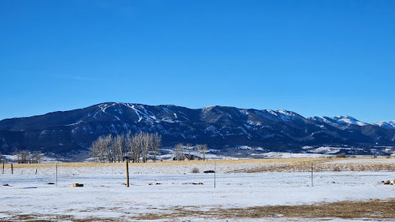 Sentinel Ranch Alpacas
