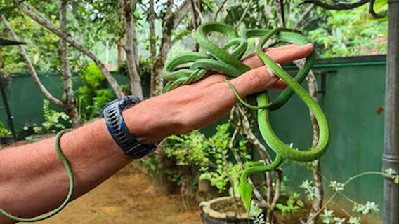 Snake Farm Weligama (Traditional Farm)