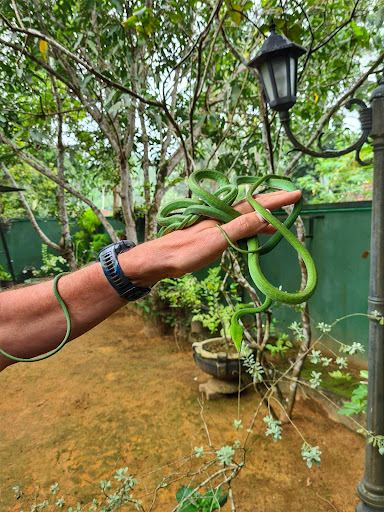 Snake Farm Weligama (Traditional Farm)