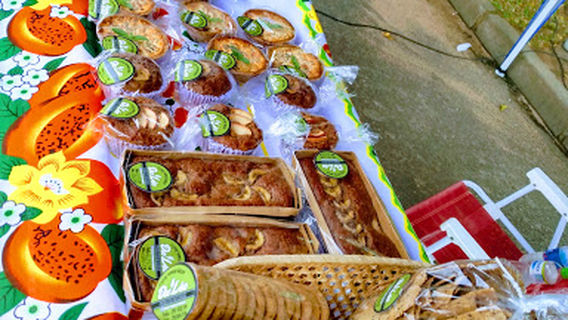 Praça Jardim do Castelo