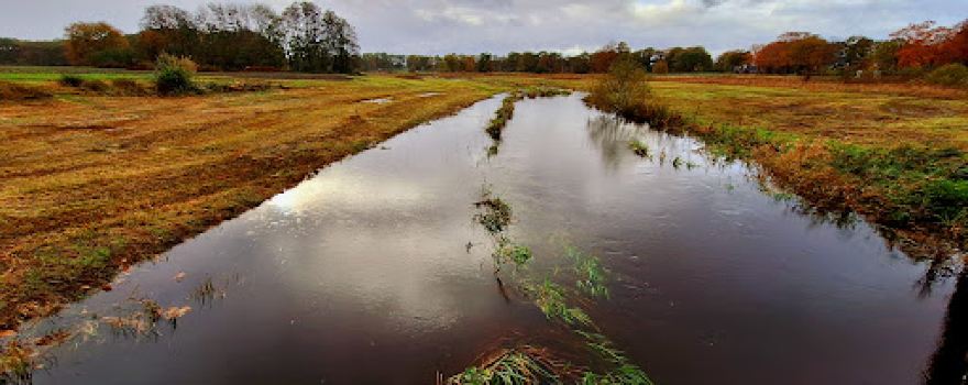 De Zeegster Hoeve