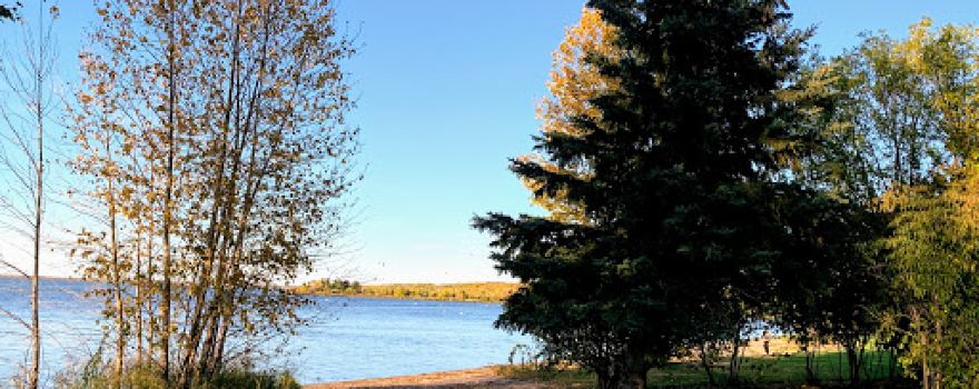 McArthur Park