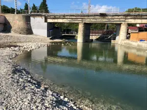 beach Dederkoy