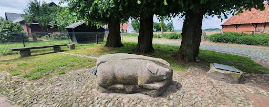 Stein Schwein