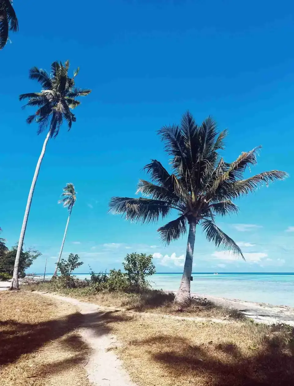 5_Pulau Sibuan