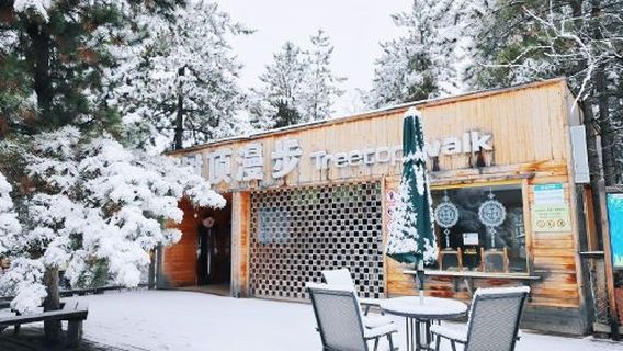 Huanglong Tree Top Walk: Eye of the Forest