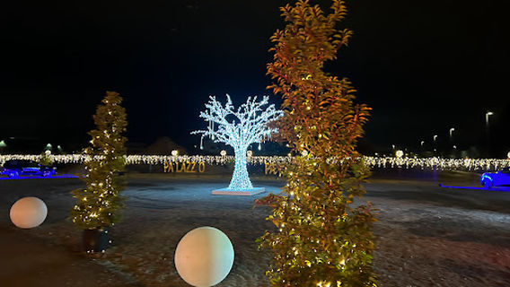 Radio Regenbogen Harald Wohlfahrt Palazzo