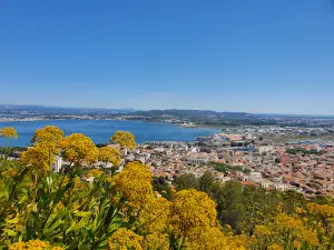 Forêt des Pierres Blanches