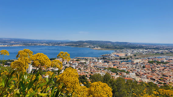 Forêt des Pierres Blanches