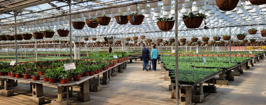 Gasko's Family Farm and Greenhouses