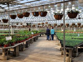 Gasko's Family Farm and Greenhouses
