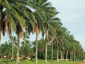 Kogi State University Stadium