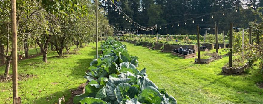 Fiala Farms