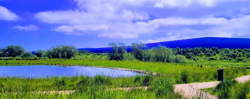 Mauretania way Park & Lake