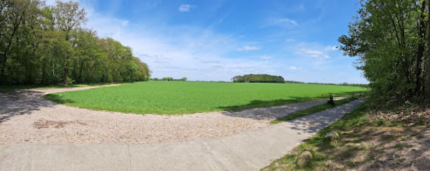 Sabeltandtijgerspoor
