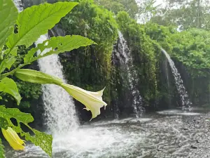 Air Terjun Kembar Arum