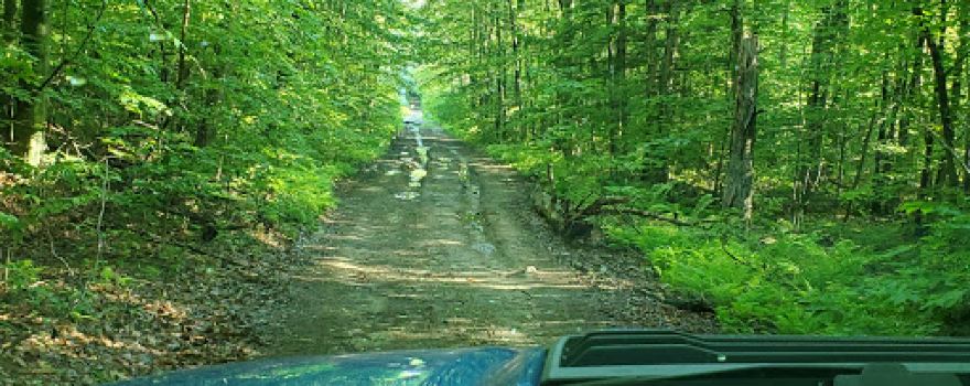 Algonquin State Forest
