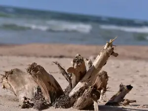 Jūrkalne seashore