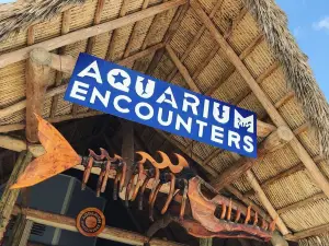 Florida Keys Aquarium Encounters