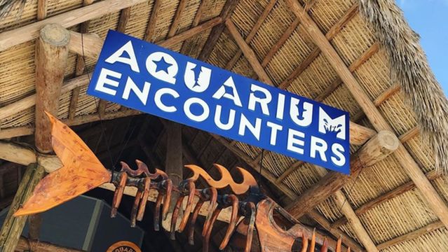 Florida Keys Aquarium Encounters