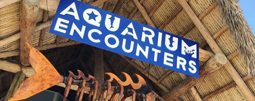 フロリダ・キーズ水族館