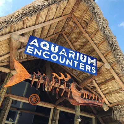 Florida Keys Aquarium Encounters