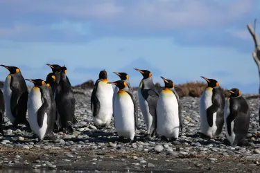 XII Region of Magallanes and Chilean Antarctica