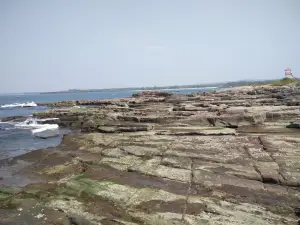 Rock Garden