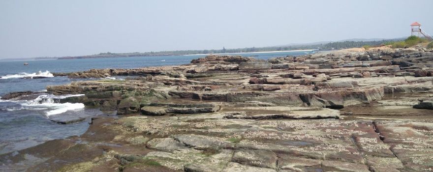 Rock Garden