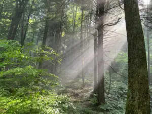 콩클스 홀로 스테이트 자연보호지역