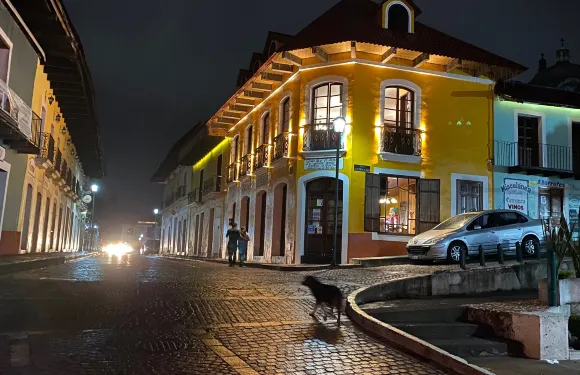 內拉爾－德爾蒙特