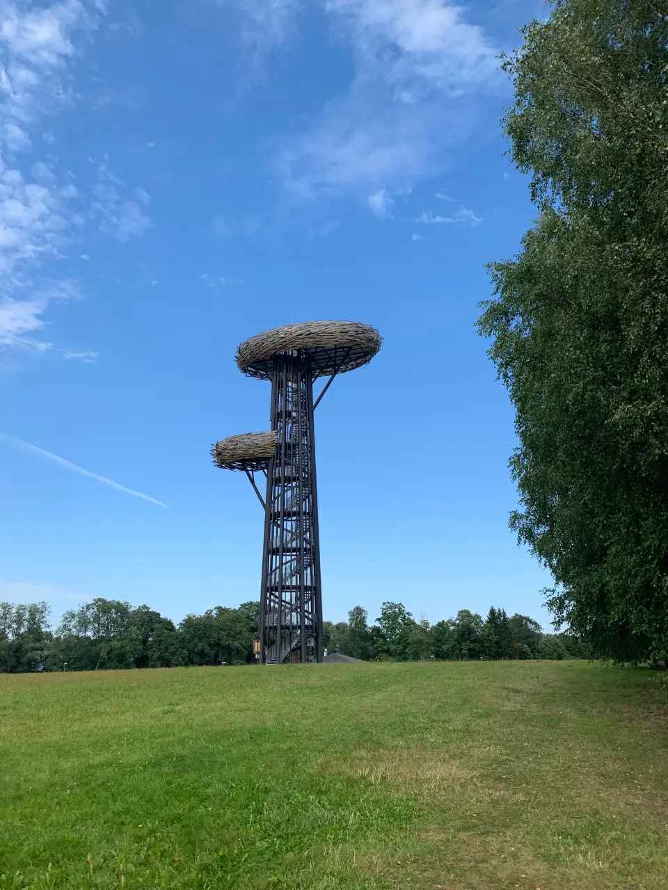 3_Rõuge watchtower "Pesapuu"