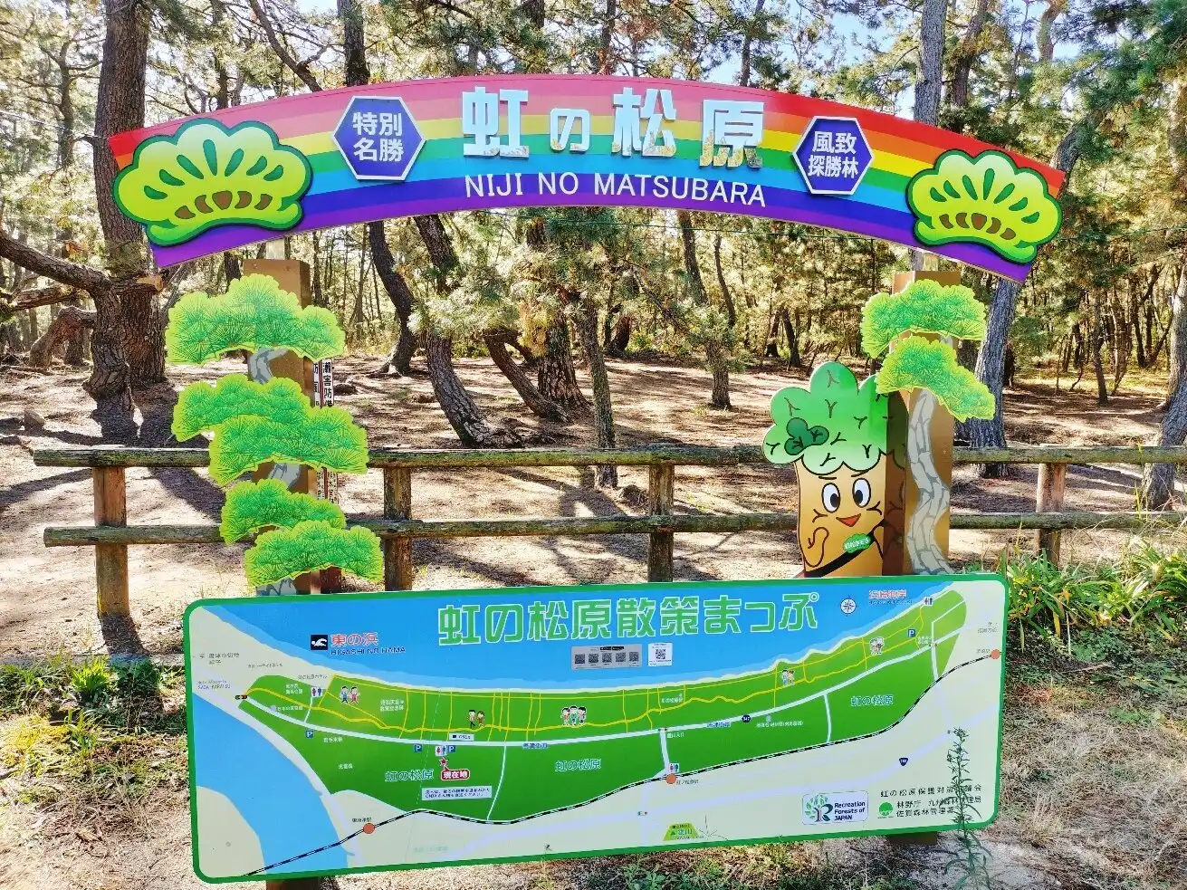 Hotels near Niji No Matsubara Pine Grove