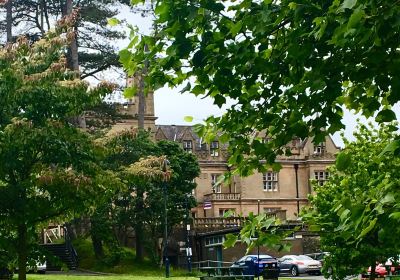 Castle Park Ave