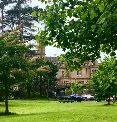 Castle Park Ave