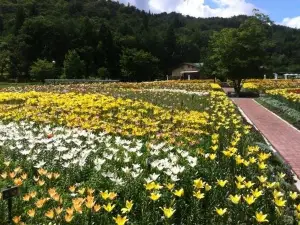 Iide Dondendaira Lily Garden