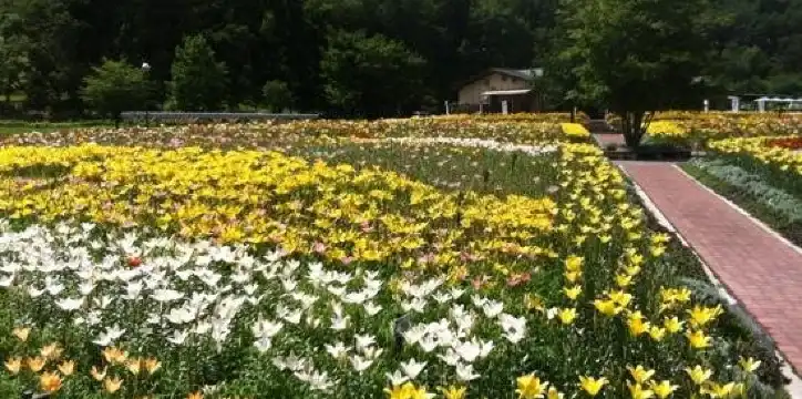 飯豊町のホテル
