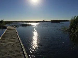 Sea Rim State Park