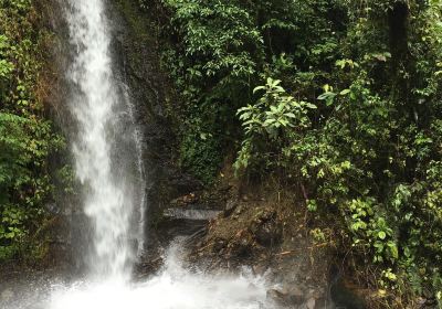Orosí